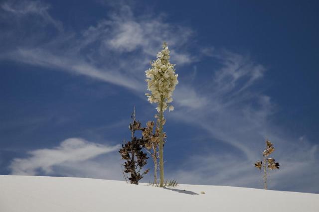 069 White Sands National Monument.jpg